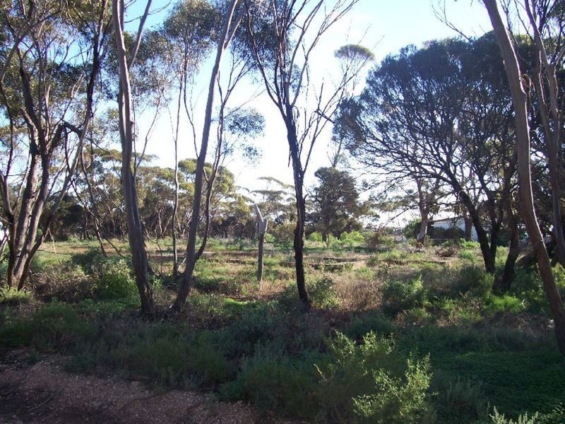 Lot 2 Fourth Street, Alford SA 5555