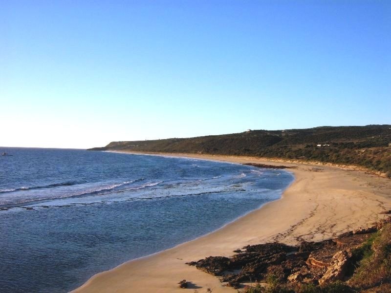 Lot 117 Wedge Island, Marion Bay SA 5575