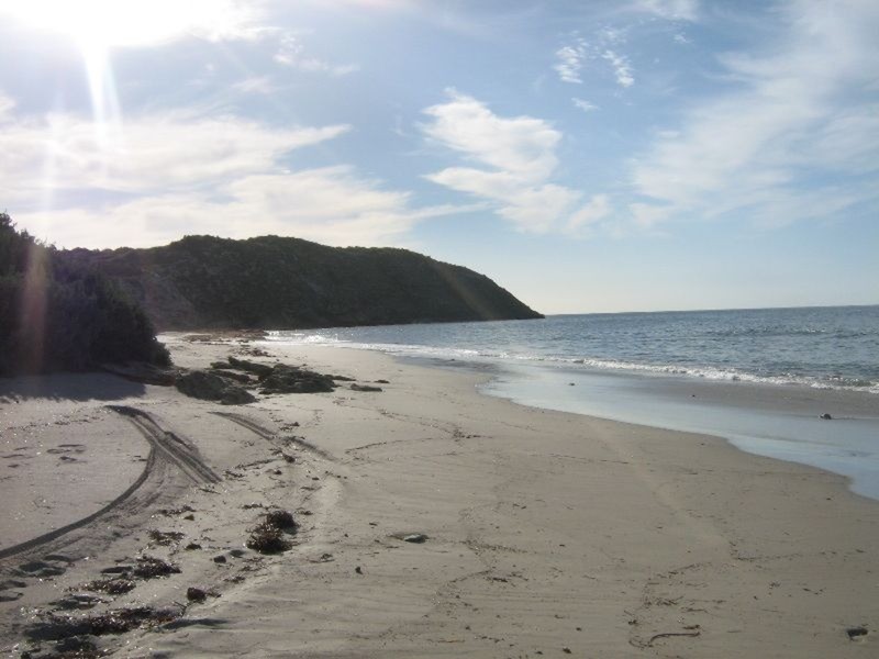 Lot 117 Wedge Island, Marion Bay SA 5575