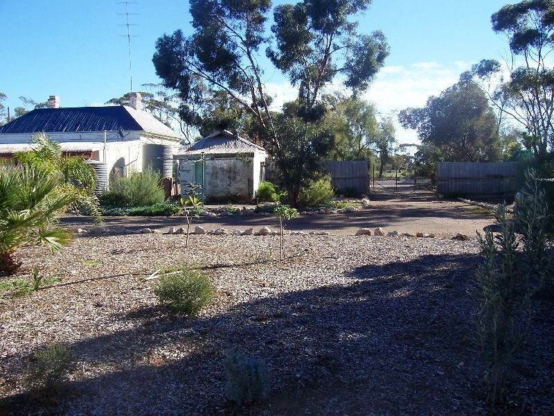 28 North West Terrace, Bute SA 5560
