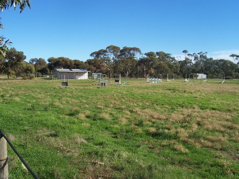 28 North West Terrace, Bute SA 5560