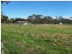 28 North West Terrace, Bute SA 5560