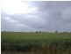 Lot/124 Brittain Road, Kadina SA 5554