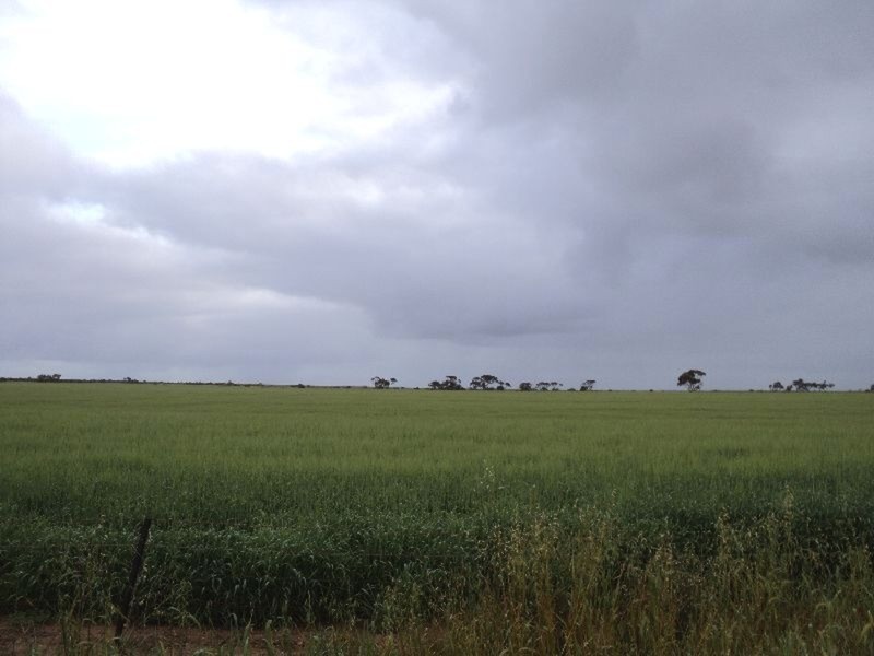 Lot/124 Brittain Road, Kadina SA 5554
