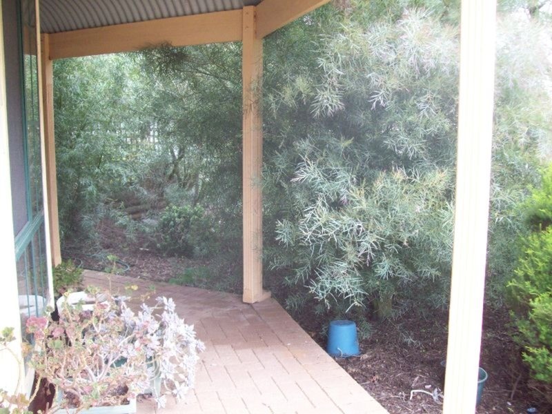8 North East Terrace, Bute SA 5560