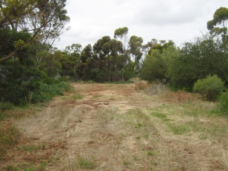 Lot 14 Trenwith Street, Kadina SA 5554