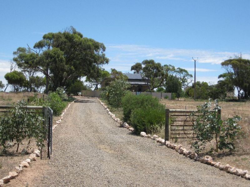 360 Kulpara (Via Bute) Road, Bute SA 5560