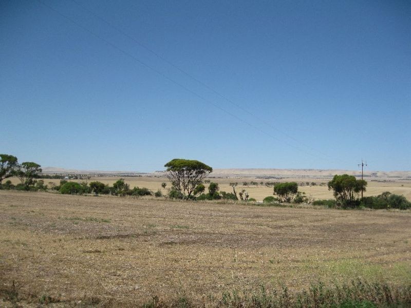 360 Kulpara (Via Bute) Road, Bute SA 5560