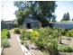 22 North West Terrace, Bute SA 5560