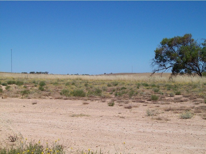 Lot 177 Freeman Court, Moonta Bay SA 5558