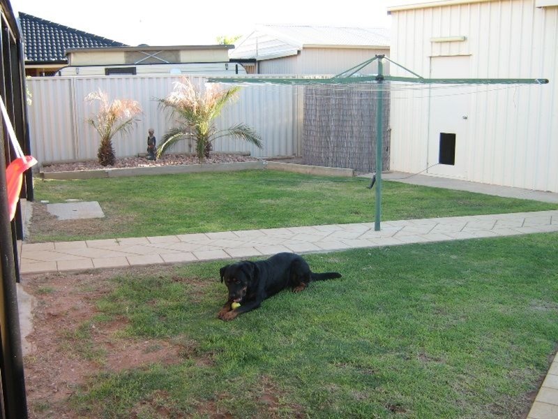 31 Evans Road, Wallaroo SA 5556