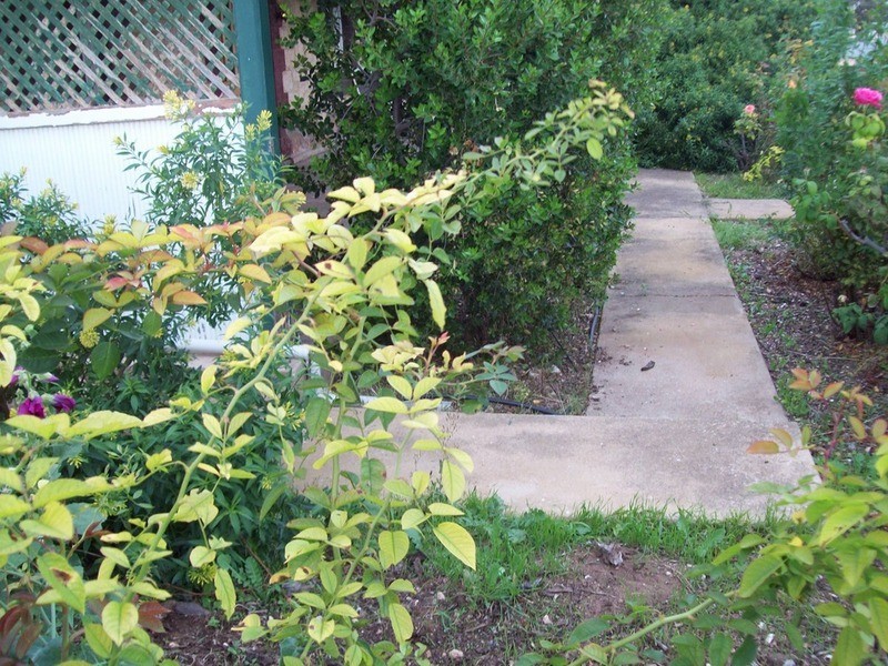 3 Leonard Street, Wallaroo SA 5556