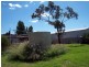 6 Florence Street, Bute SA 5560