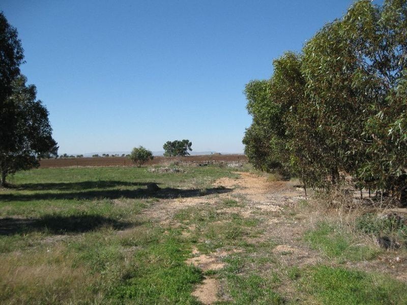 Lot 66 Railway Terrace, Paskeville SA 5552