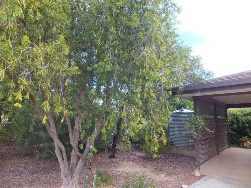 7 East Terrace, Kadina SA 5554