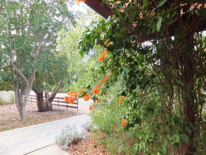 7 East Terrace, Kadina SA 5554