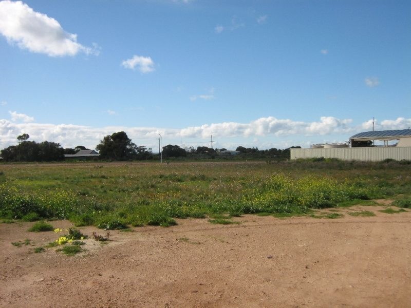 7 Bollmeyer Street, Wallaroo SA 5556