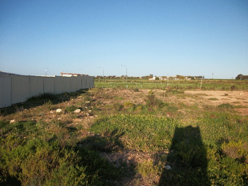 8 Falie Avenue, Wallaroo SA 5556