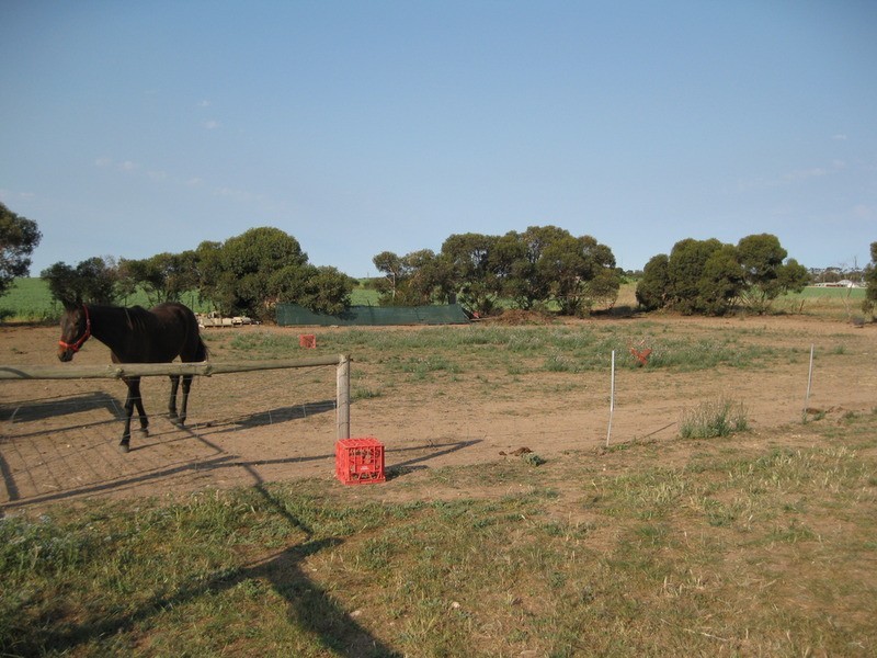 16-18 Muddy Lane, North Moonta SA 5558
