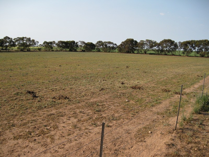 16-18 Muddy Lane, North Moonta SA 5558