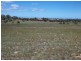 Sec 1164 &1165 Chapman Road, North Moonta SA 5558