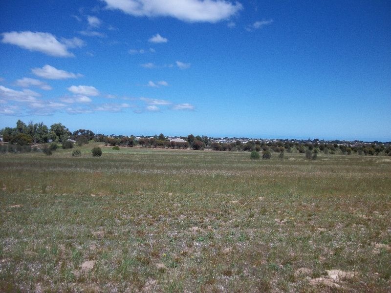 Sec 1164 &1165 Chapman Road, North Moonta SA 5558