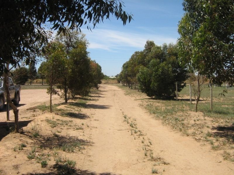 Sec 816 Cornish Terrace, Wallaroo SA 5556