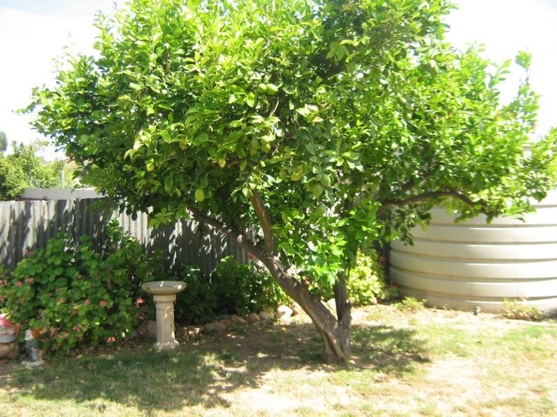 14 Lipson Avenue, Kadina SA 5554