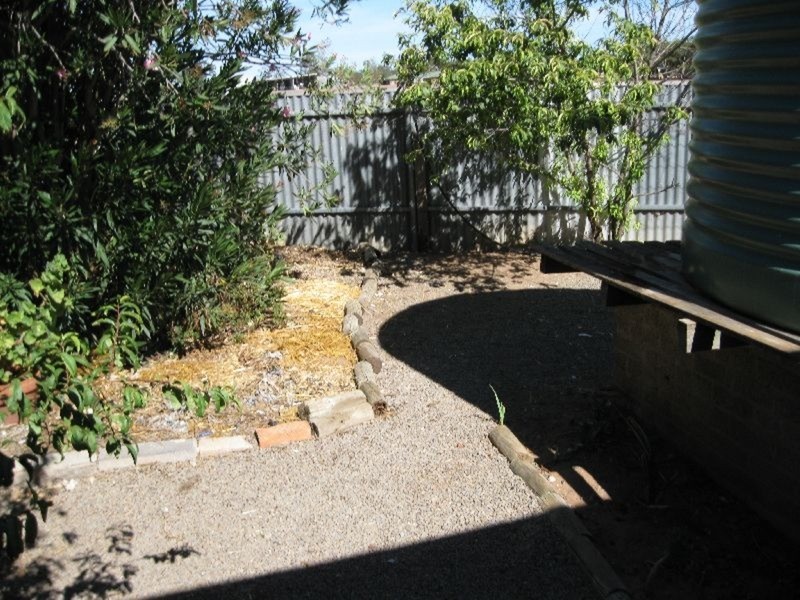2 Paterson Street, Bute SA 5560