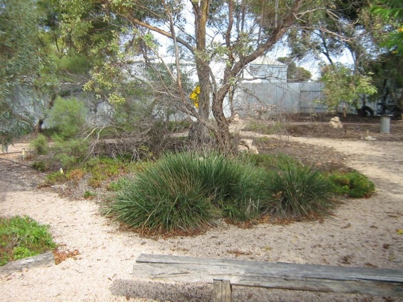 52 George Street, Kadina SA 5554