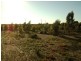 Lot/279 Kochs Road, Kadina SA 5554