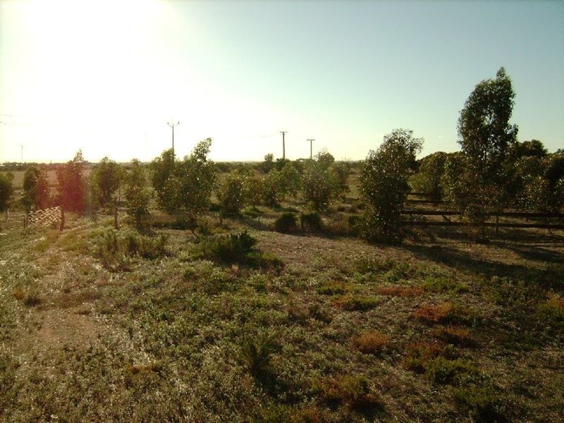 Lot/279 Kochs Road, Kadina SA 5554
