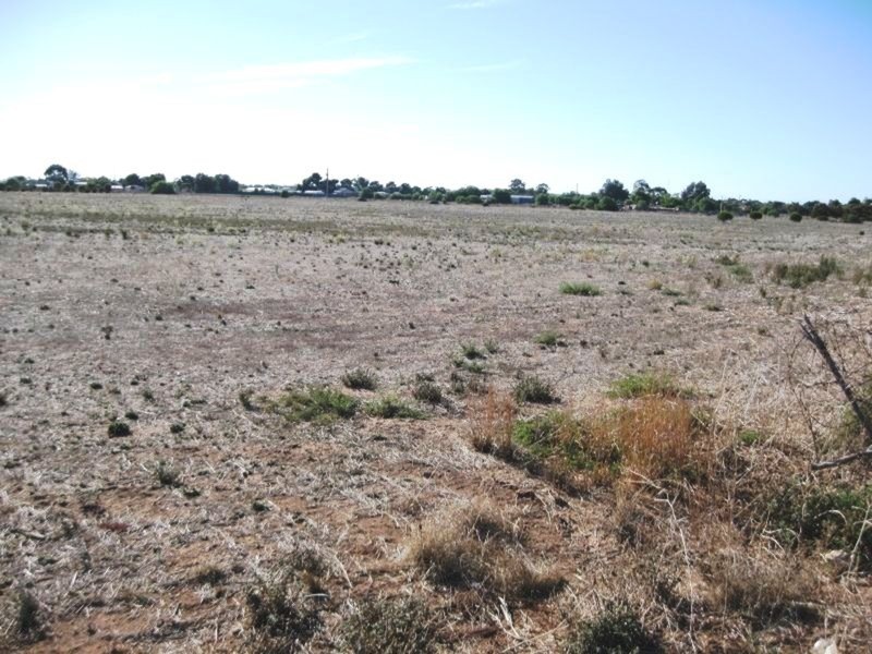 Sec/1483 Musgrave Terrace, Kadina SA 5554