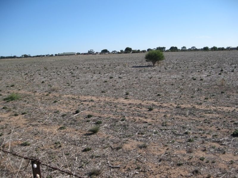 Sec/1483 Musgrave Terrace, Kadina SA 5554