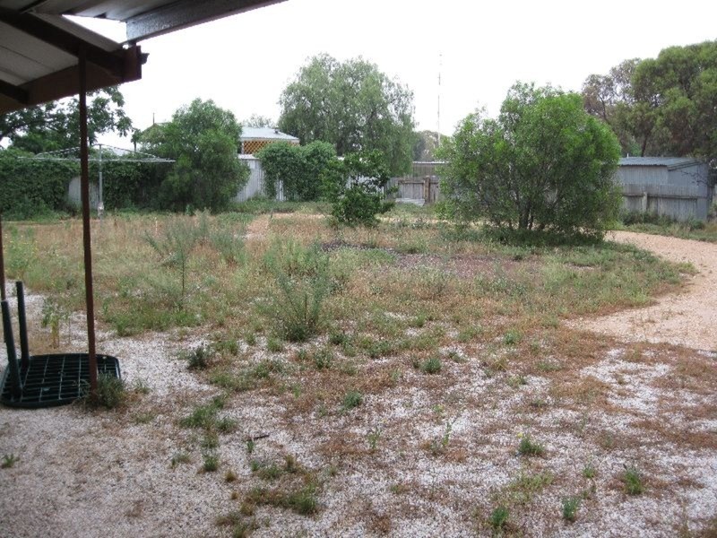 31 Seventh Street, Morgan SA 5320