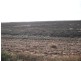 Allot 2/Dep. Plan 61785 Hd Wallaroo, Kadina SA 5554