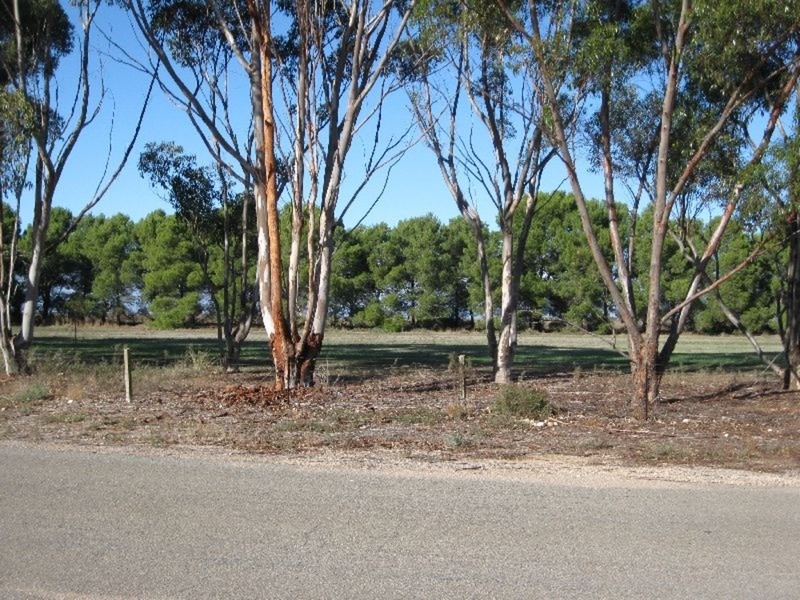 35 School Terrace, Paskeville SA 5552