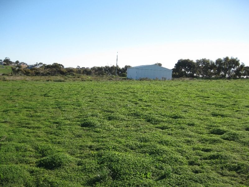 Lot 4 Coast Road, Tickera SA 5555