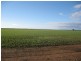 Sec 600 Ellis Road, Wallaroo SA 5556