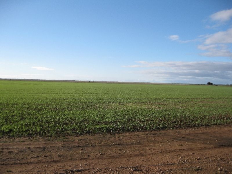 Sec 600 Ellis Road, Wallaroo SA 5556