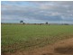 Sec 600 Ellis Road, Wallaroo SA 5556