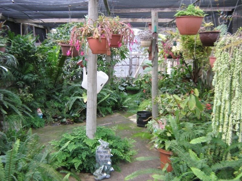 38 Ireland Street, Wallaroo SA 5556