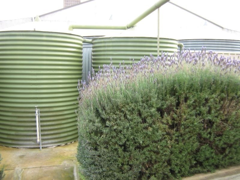 38 Ireland Street, Wallaroo SA 5556