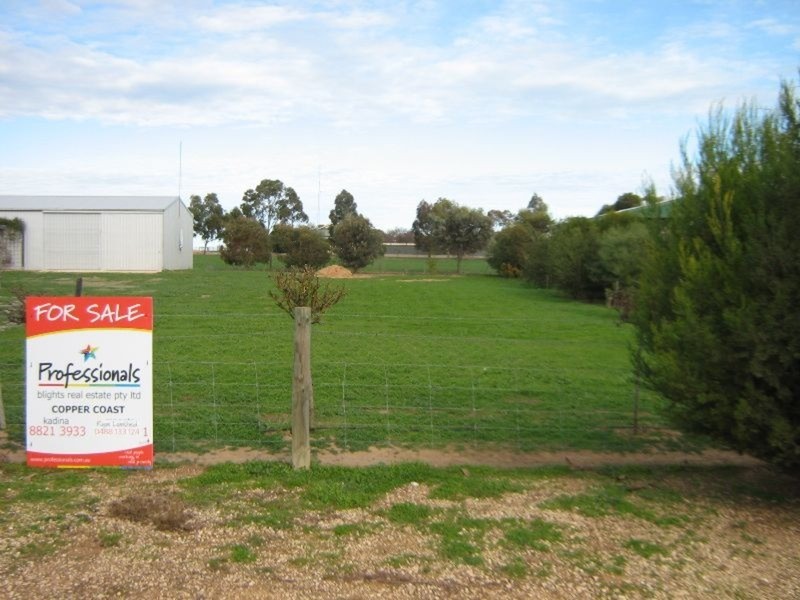 Lot 139 George Street, Bute SA 5560