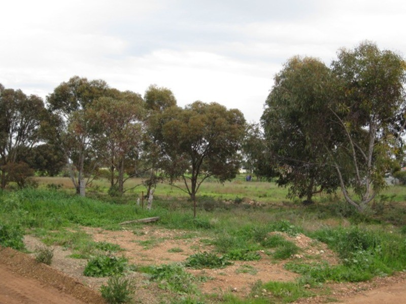 Lots/52, 53, 54 Raymond Street, Kadina SA 5554
