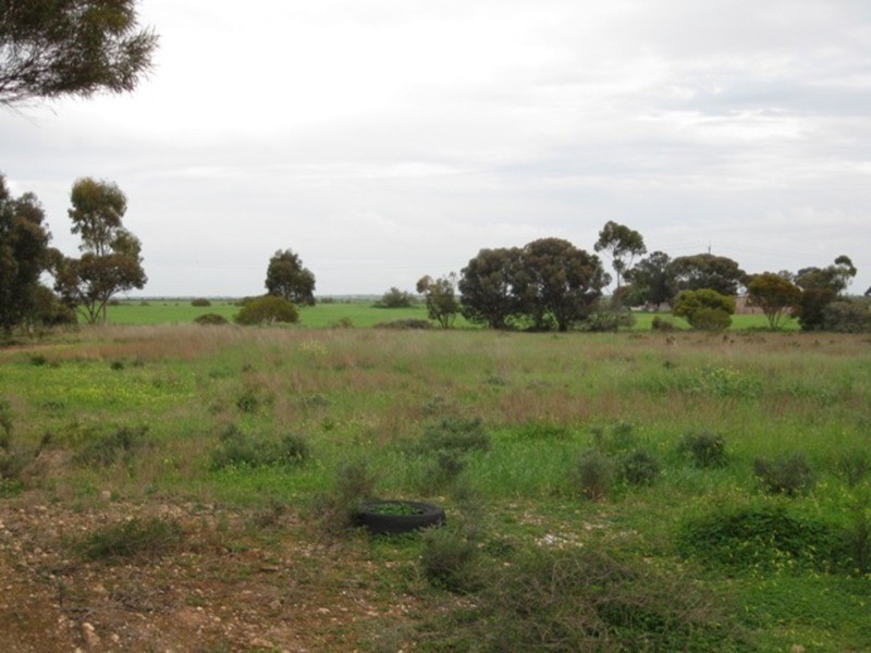 Lots/52, 53, 54 Raymond Street, Kadina SA 5554