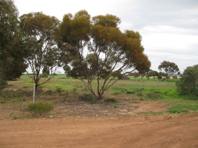 Lots/52, 53, 54 Raymond Street, Kadina SA 5554