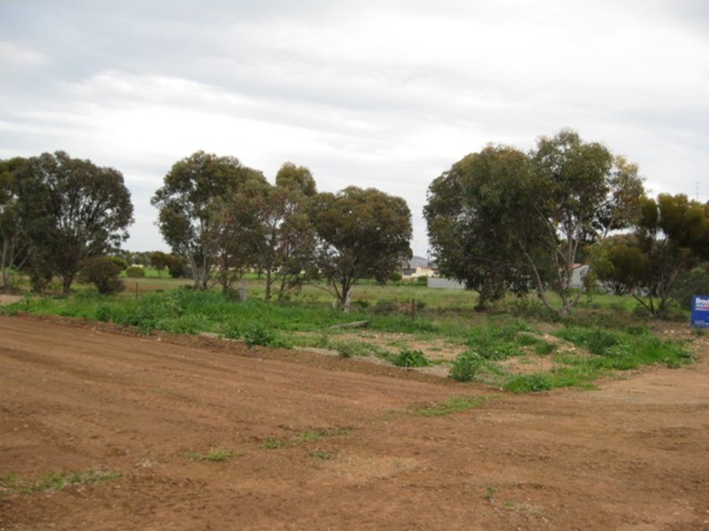 Lots/52, 53, 54 Raymond Street, Kadina SA 5554
