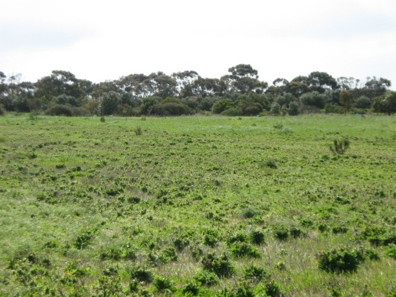 Sec/417 Helston Road, Kadina SA 5554