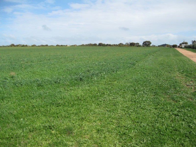 Sec 664 Martin Terrace, Kadina SA 5554
